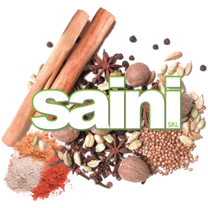 Saini